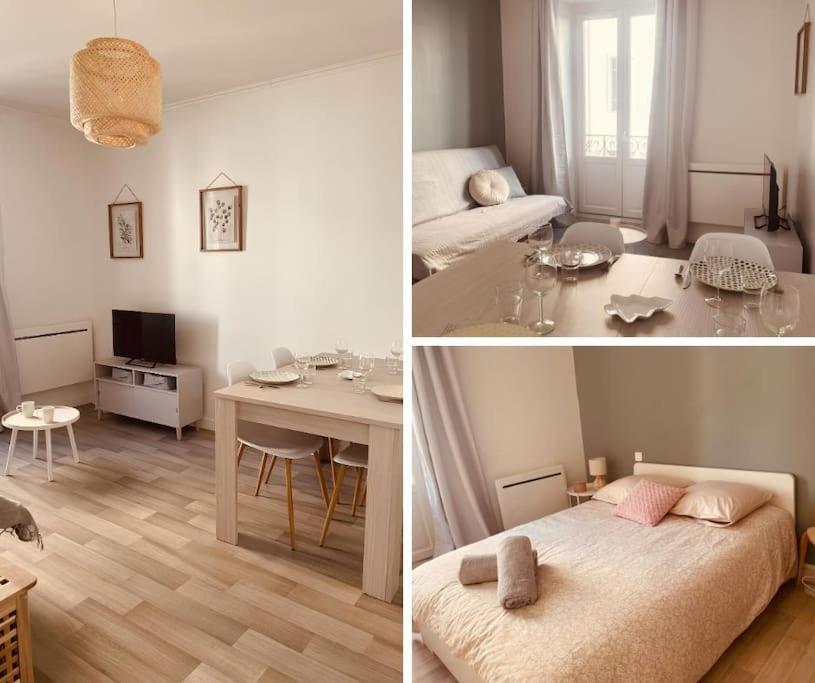 Le Coin Cosy L Balcon Apartman Castres  Kültér fotó